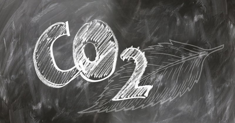 Carbon-Neutral Tours