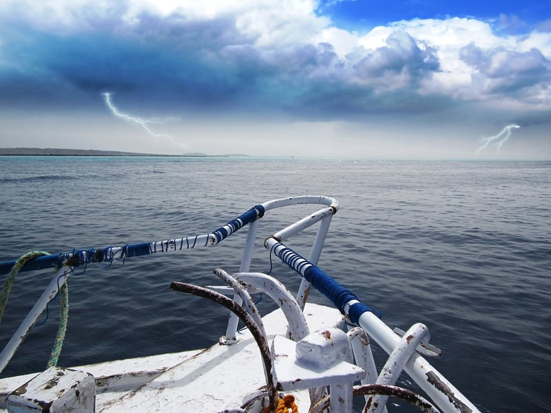 Marine Expeditions